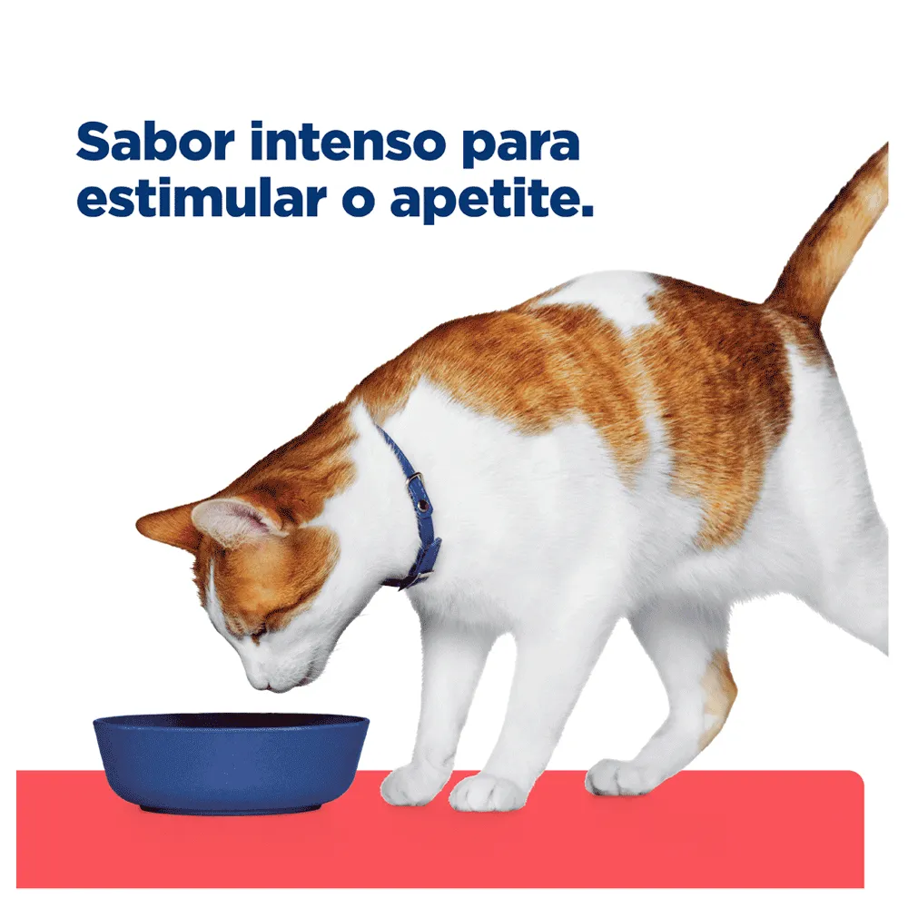 Ração Úmida Hill’s Prescription Diet Gatos ONC Care Cuidado Oncológico — foto 6