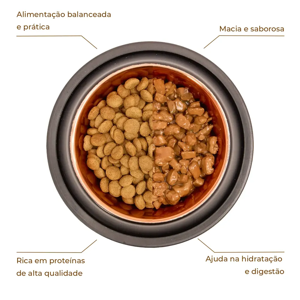 Ração Úmida Joy Cães Adultos Carne ao Molho — foto 3
