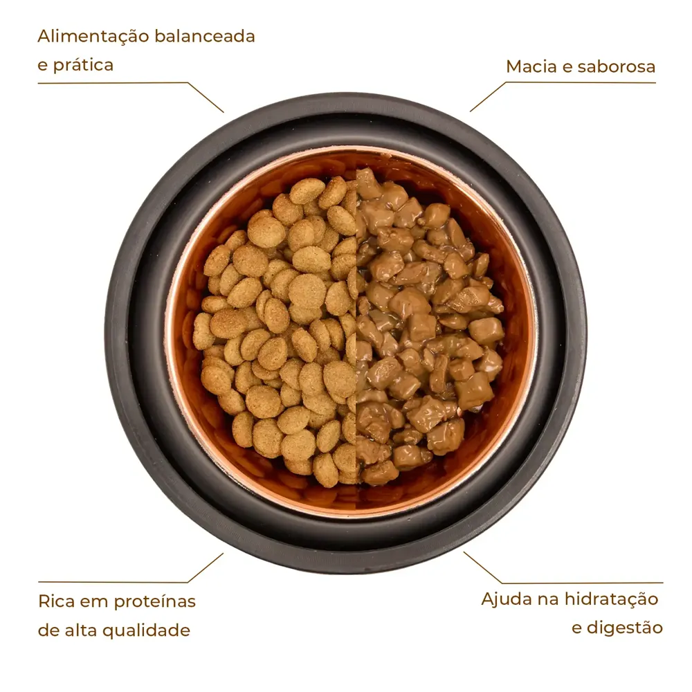 Ração Úmida Joy Cães Adultos Frango ao Molho — foto 3