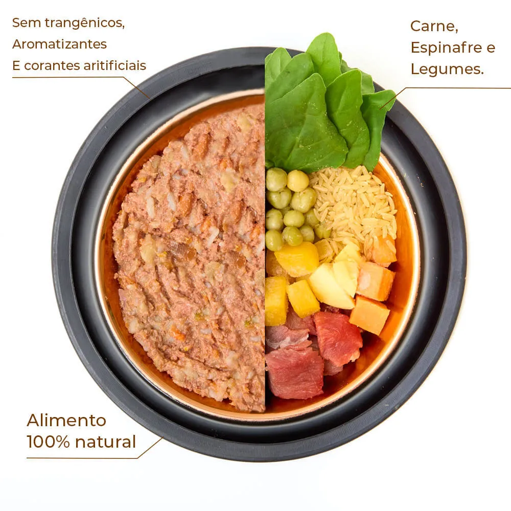 Ração Úmida para Cães Adultos Origem Nature Carne com Espinafre e Legumes — foto 2