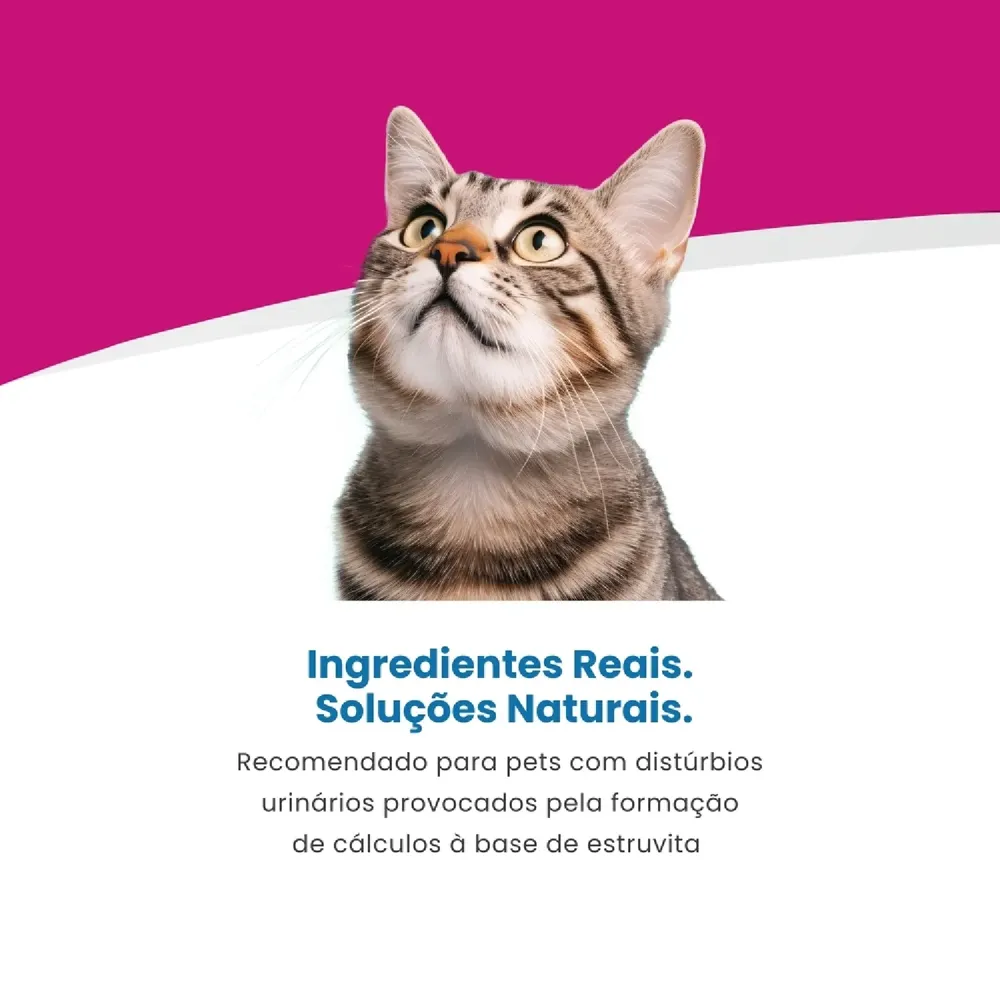 Ração Úmida Para Gato Cálculos Urinários Vet Life — foto 4