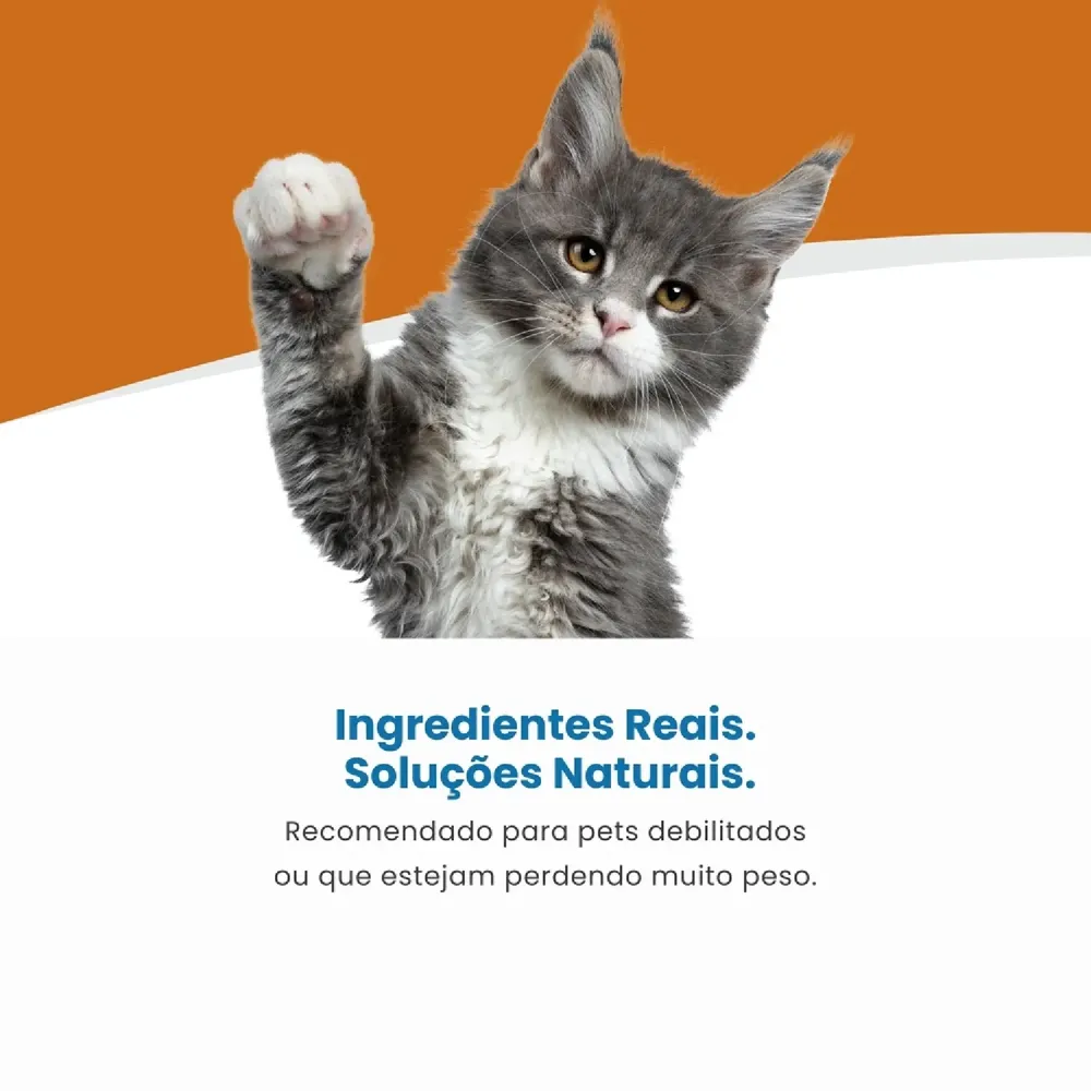 Ração Úmida Para Gato Convalescença Vet Life — foto 4