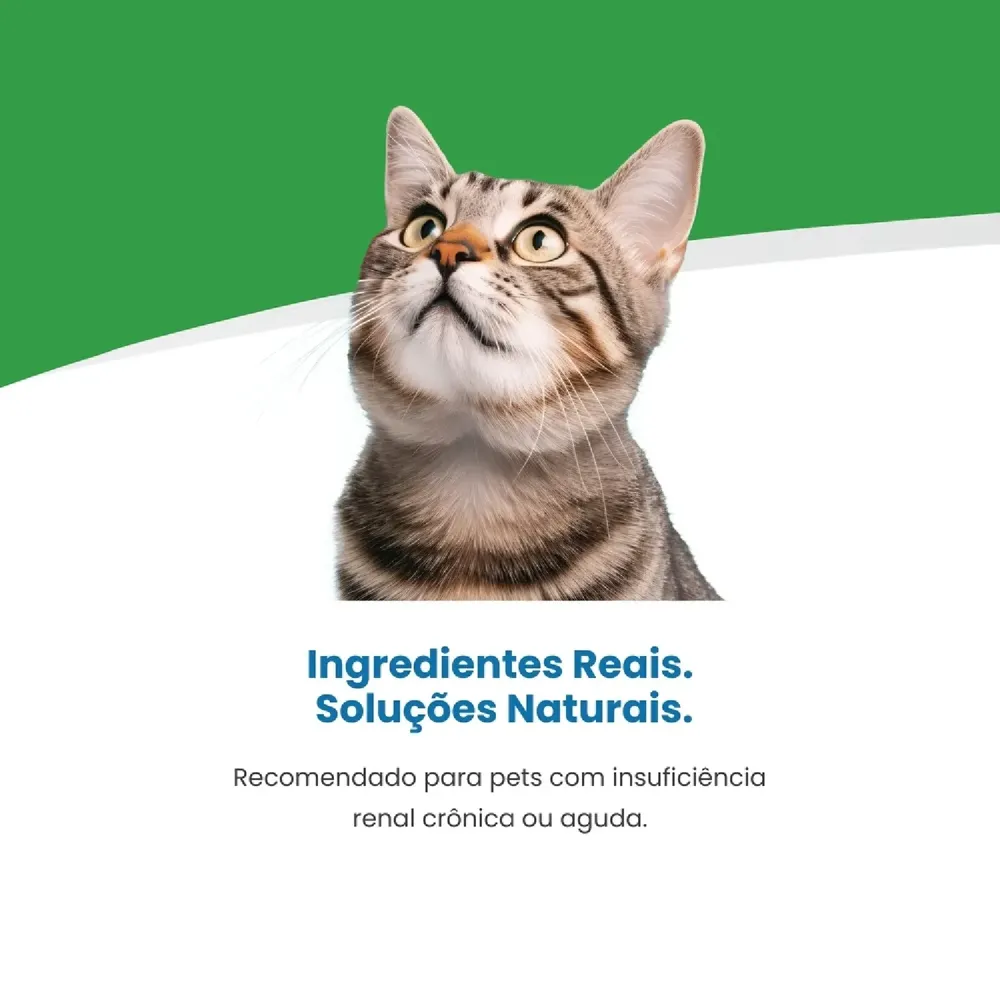 Ração Úmida Para Gato Renal Vet Life — foto 4