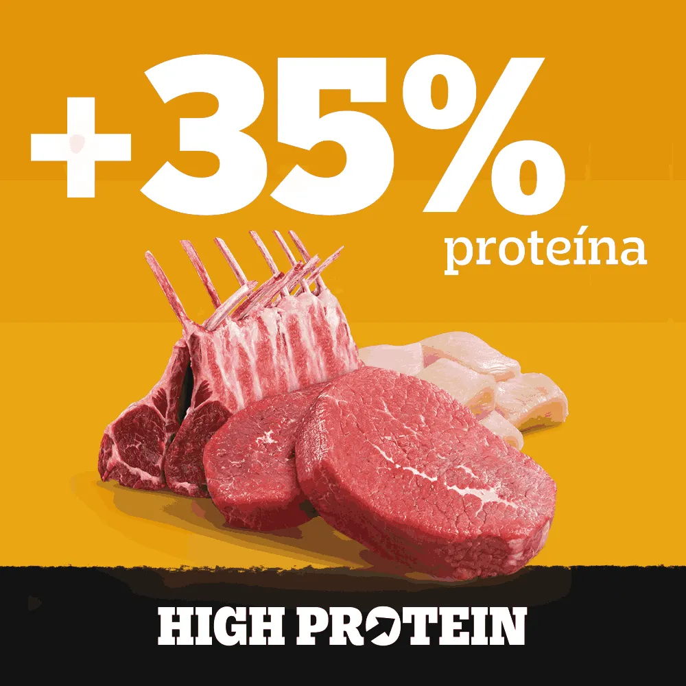 Ração Úmida Pedigree Sachê High Protein Cães Adultos Carne e Frango — foto 3