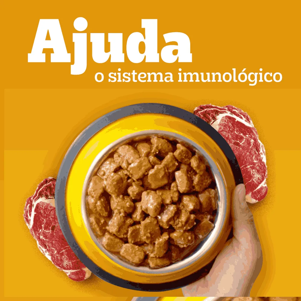 Ração Úmida Pedigree Sachê High Protein Cães Adultos Porco e Carne ao Molho — foto 4