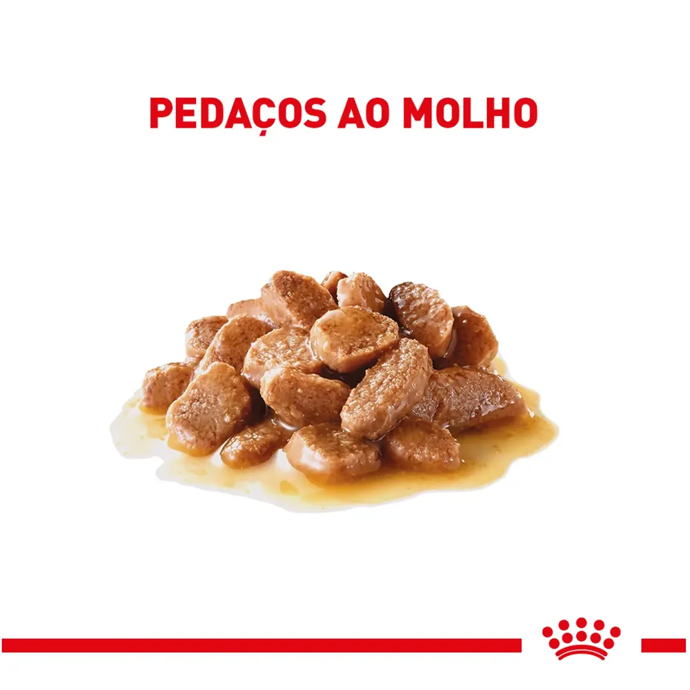 Ração Úmida Royal Canin Ageing 11+ Gatos Adultos — foto 3