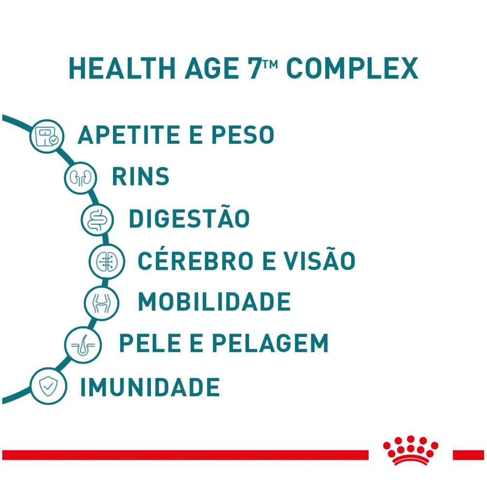 Ração Úmida Royal Canin Ageing 11+ Gatos Adultos — foto 4