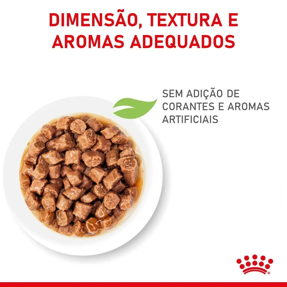 Ração Úmida Royal Canin Kitten Gatos Filhotes — foto 4