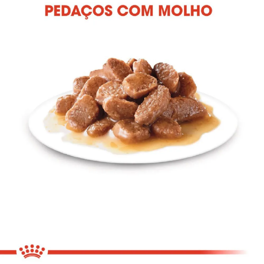 Ração Úmida Royal Canin Instinctive Gatos adultos — foto 3
