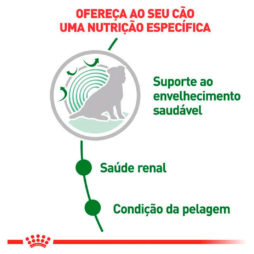 Ração Úmida Royal Canin Mini Ageing 12+ Cães Idosos — foto 3