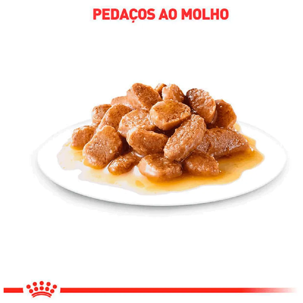 Ração Úmida Royal Canin Mini Ageing 12+ Cães Idosos — foto 4
