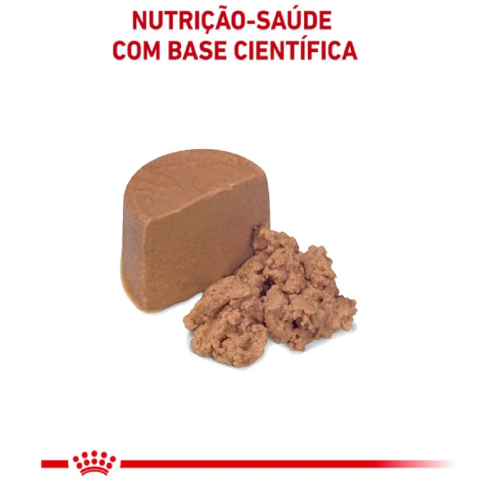 Ração Úmida Royal Canin Lata Veterinary Diet Recovery para Cães e Gatos em Recuperação — foto 3