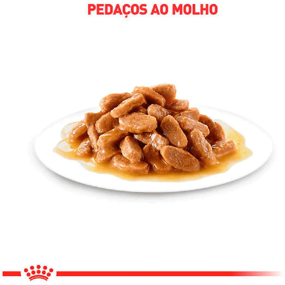 Ração Úmida Royal Canin Sachê Hair e Skin Gatos Adultos — foto 3