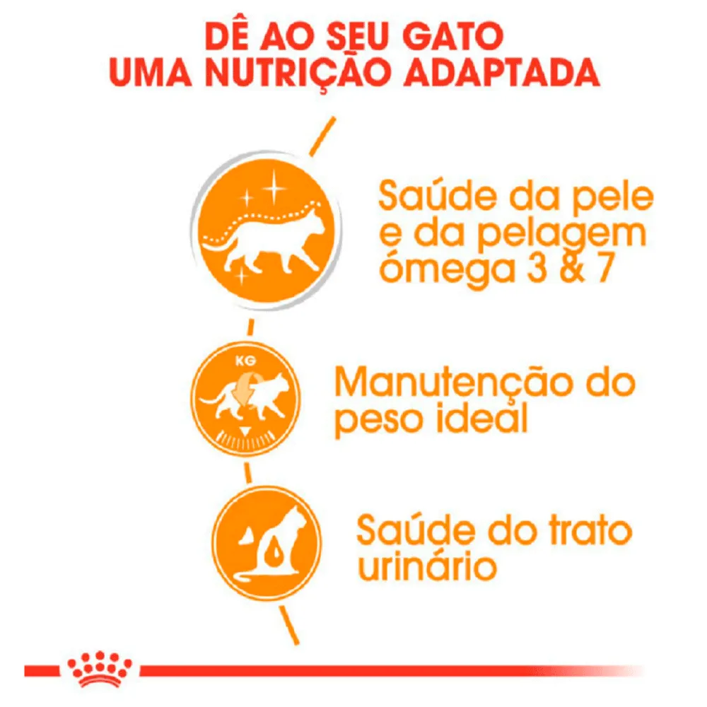 Ração Úmida Royal Canin Sachê Hair e Skin Gatos Adultos — foto 4