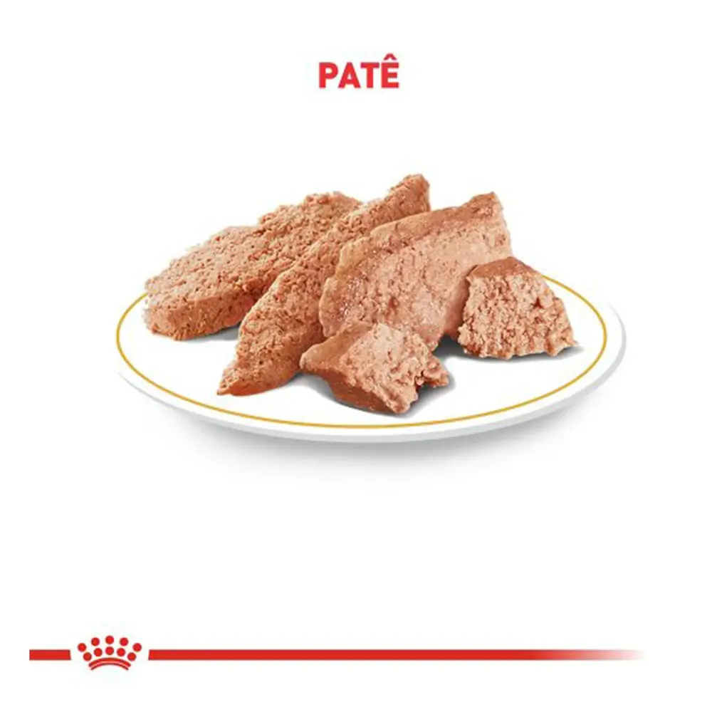 Ração Úmida Royal Canin Veterinary Diet Diabetc Glycobalance Low Carbohydrate para Cães Adultos — foto 2