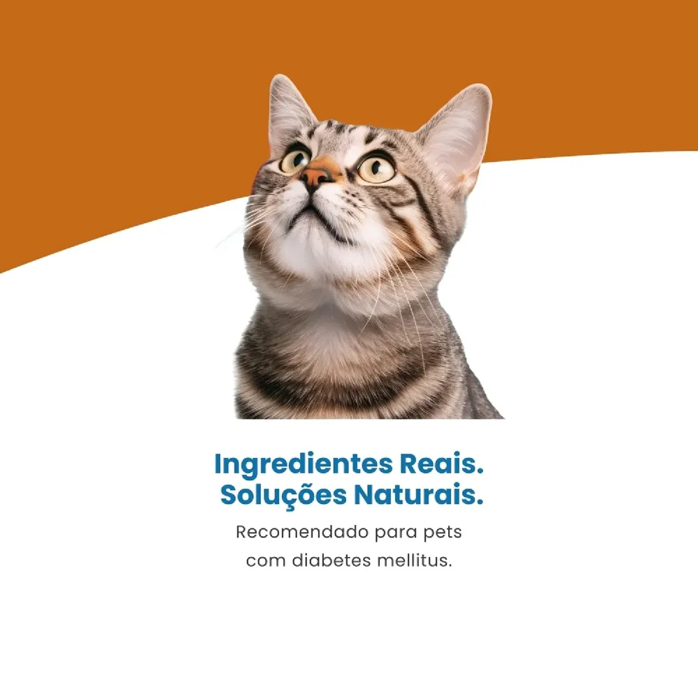 Ração Úmida Vet Life Diabetic para Gatos Adultos — foto 4