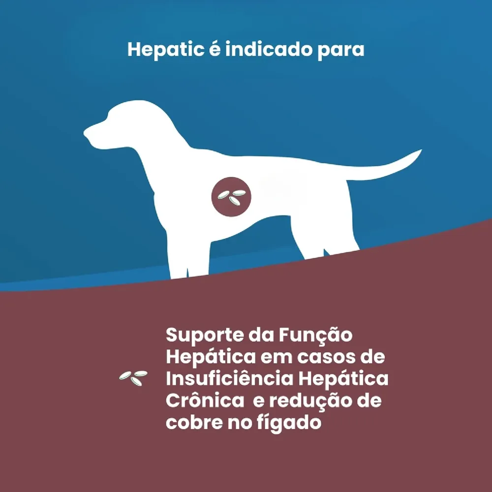 Ração Úmida Vet Life Hepatic para Cães Adultos — foto 2