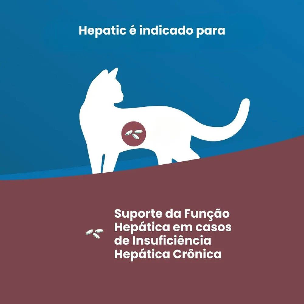 Ração Úmida Vet Life Hepatic para Gatos Adultos — foto 2