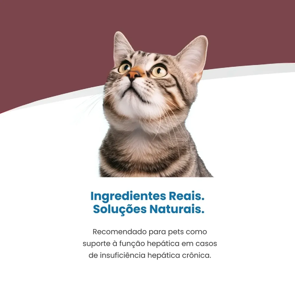 Ração Úmida Vet Life Hepatic para Gatos Adultos — foto 4