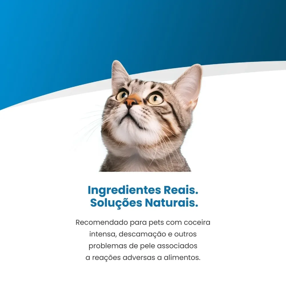 Ração Úmida Vet Life Hypoallergenic para Gatos Adultos Pork & Potato — foto 4