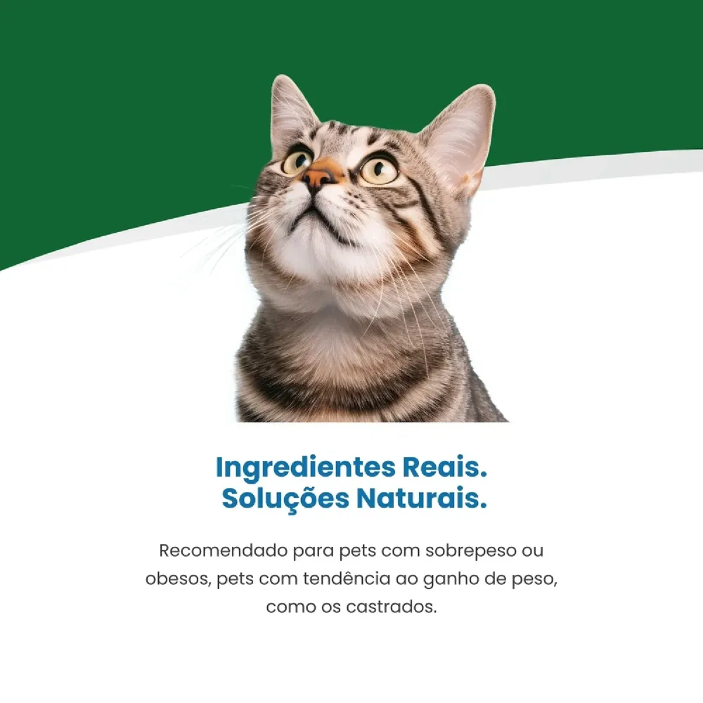 Ração Úmida Vet Life Obesity para Gatos Adultos — foto 4
