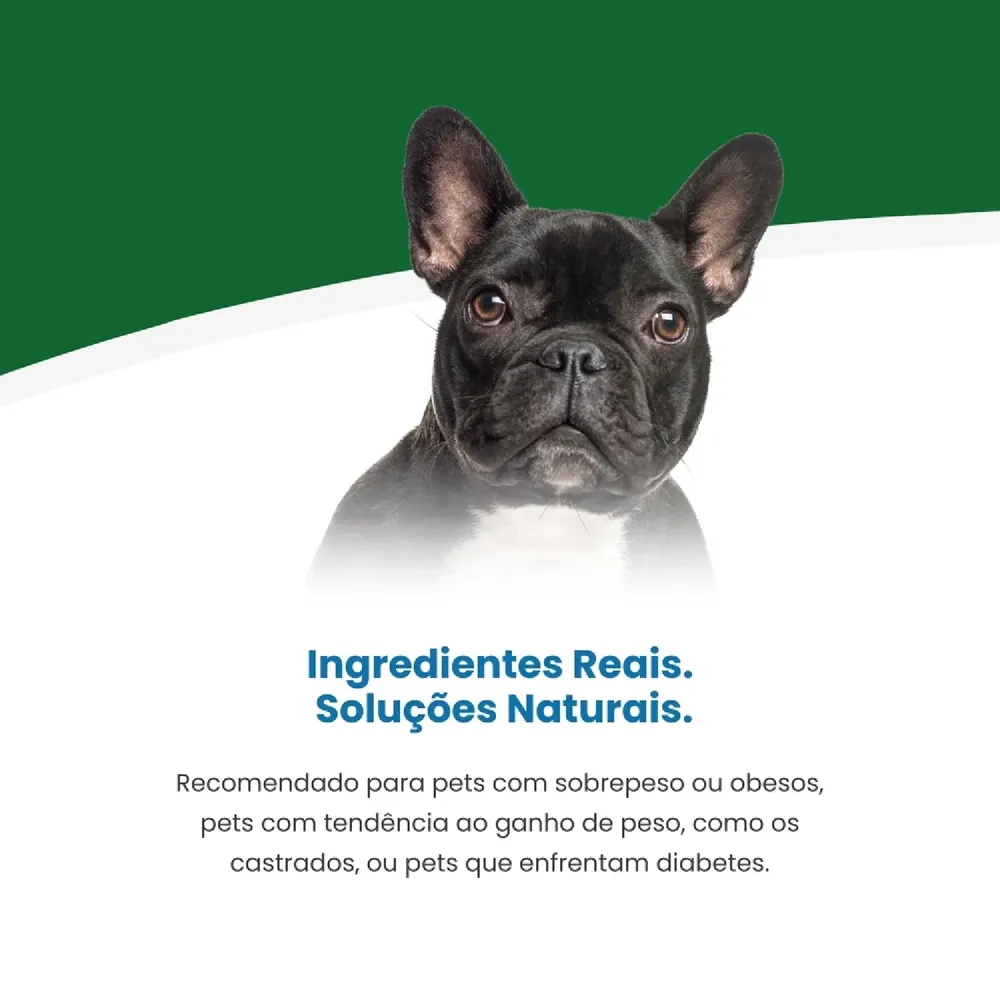 Ração Vet Life Natural Mini Canine Obesity e Diabetic — foto 4