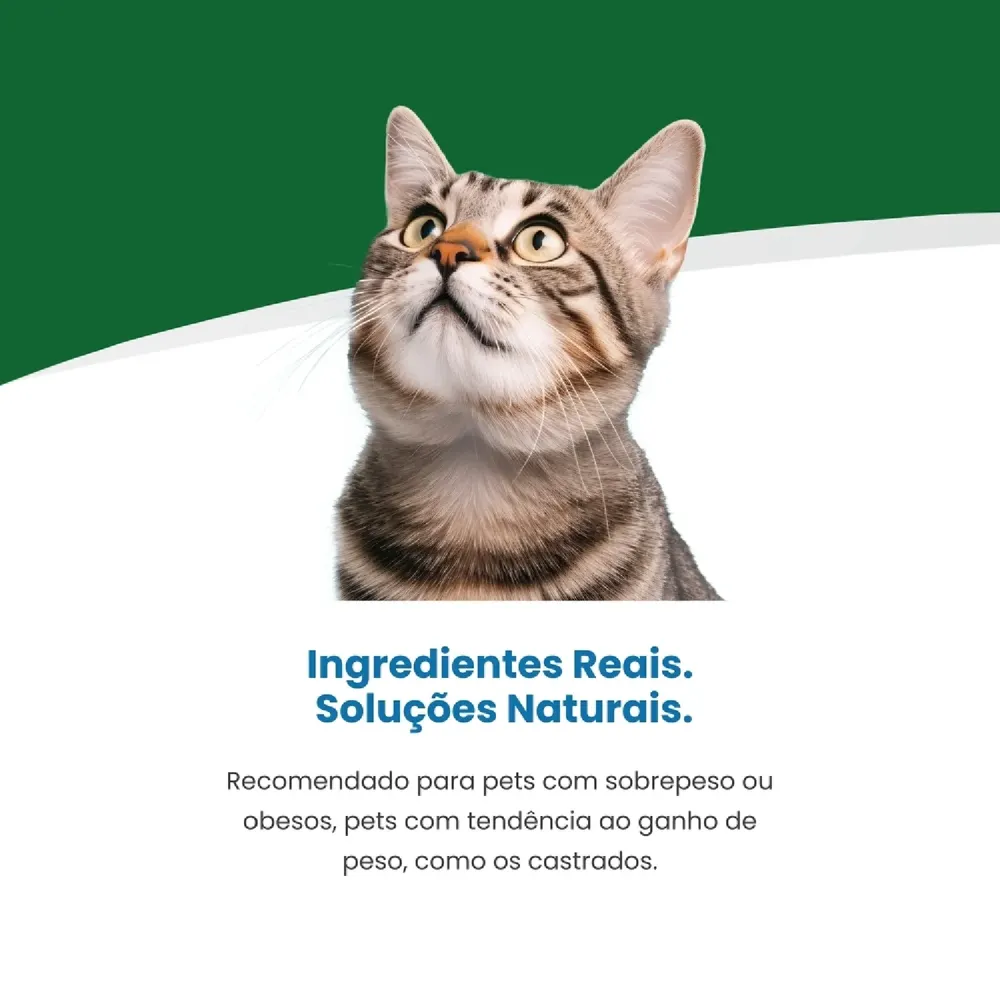 Ração Vet Life Natural Feline Obesity — foto 4