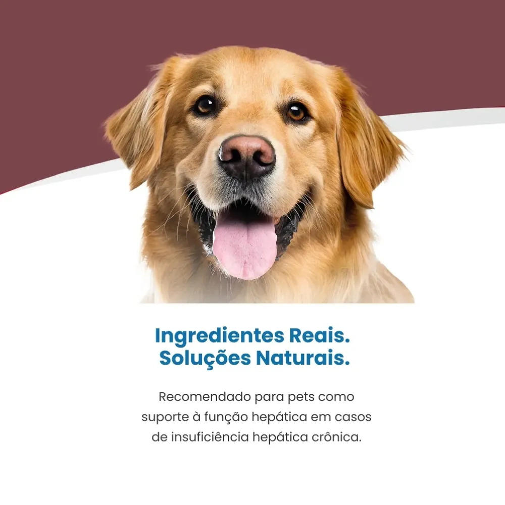 Ração Vet Life Natural Hepatic para Cães — foto 2