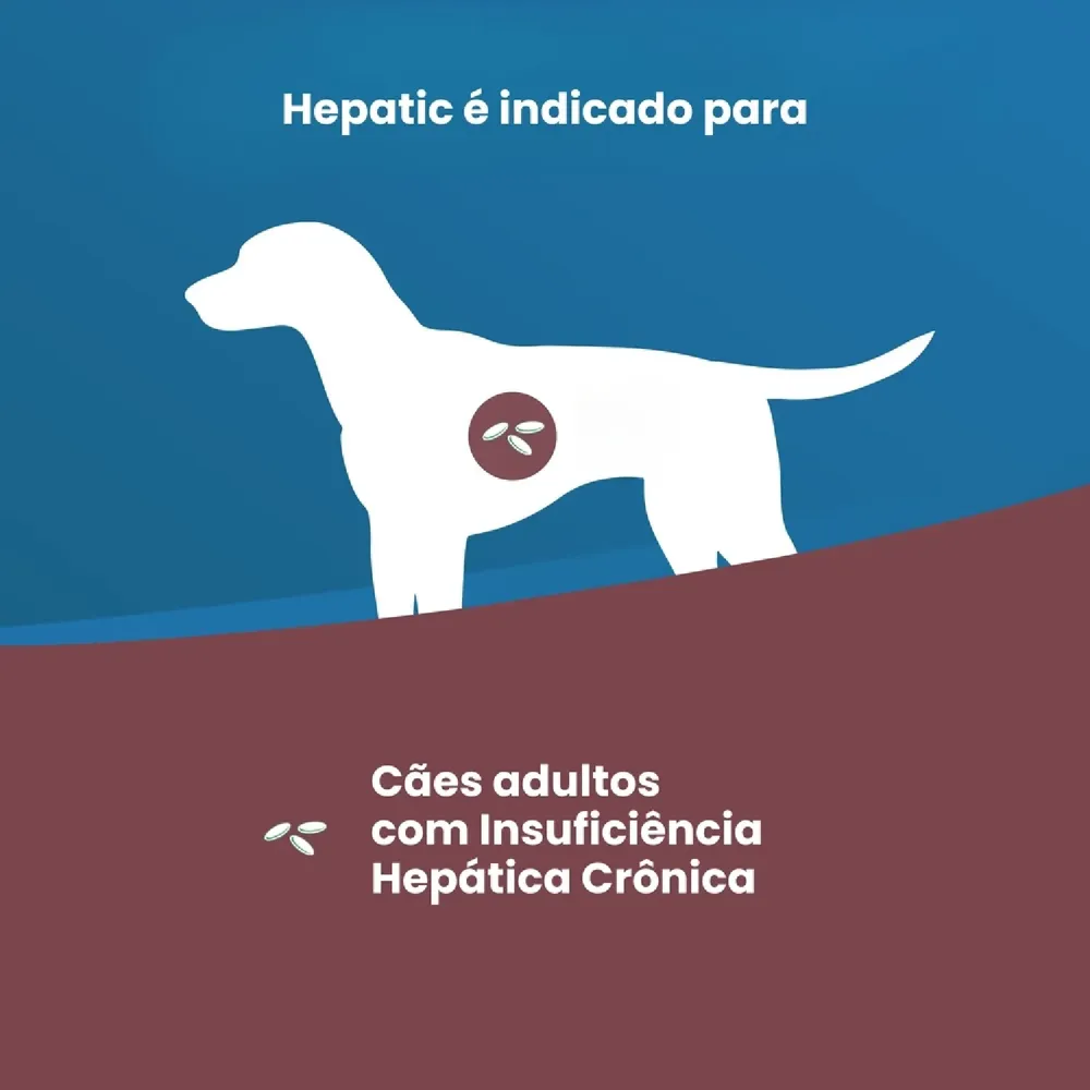 Ração Vet Life Natural Hepatic para Cães — foto 4