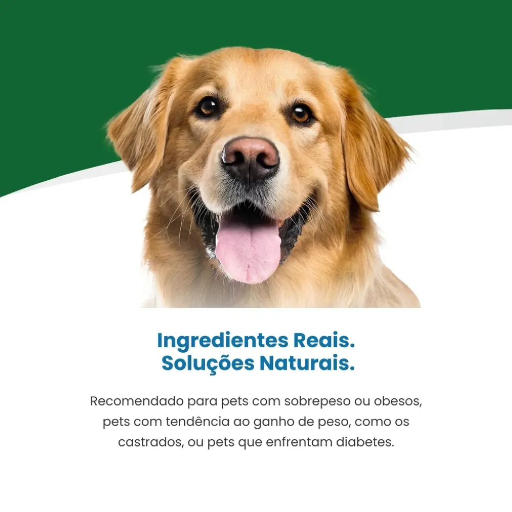 Ração Vet Life Natural para Cães Obesidade e Diabete Peixe — foto 4