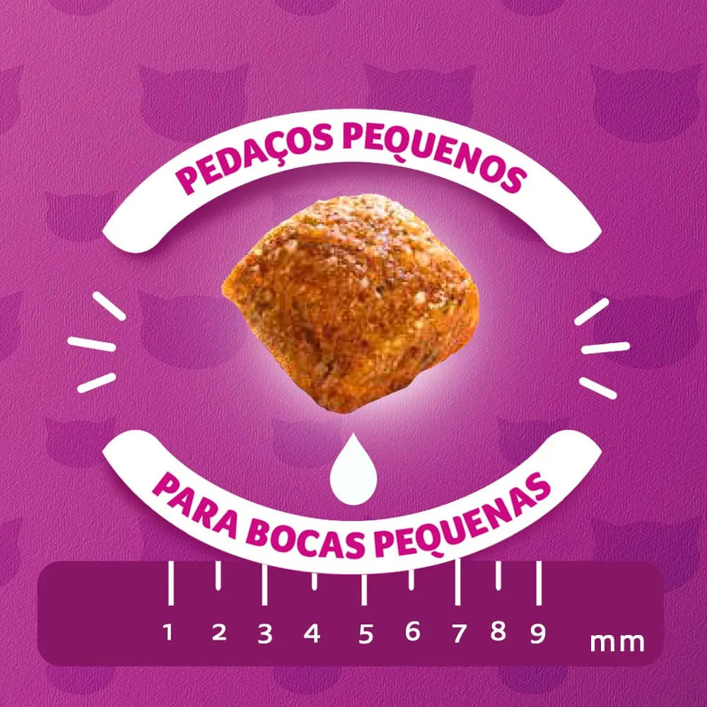 Ração Whiskas Gatos Filhotes Carne e Leite — foto 5