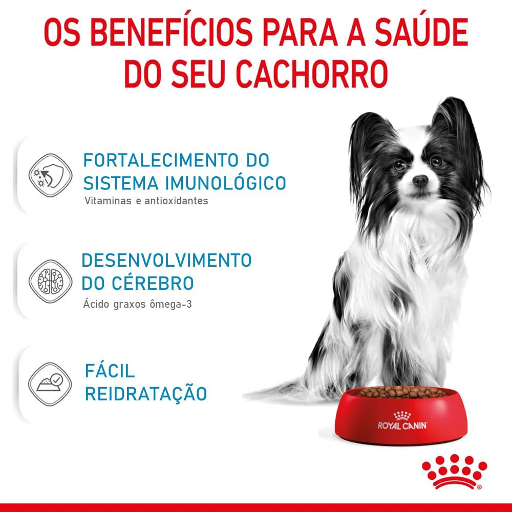 Ração Royal Canin X-Small Cães Filhotes — foto 3