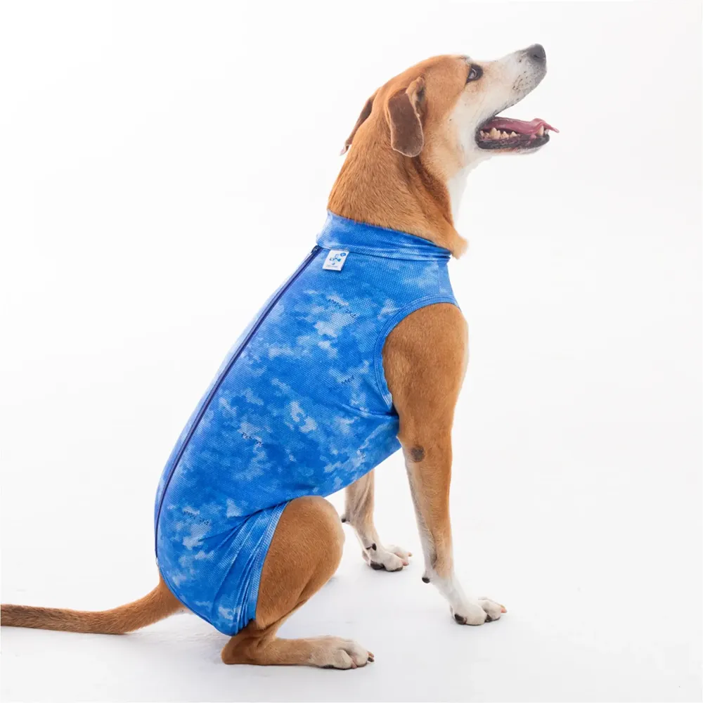 Roupa Pós-Cirúrgica Dry Light Supreme para Cães Machos Castração Pet Med Azul — foto 2