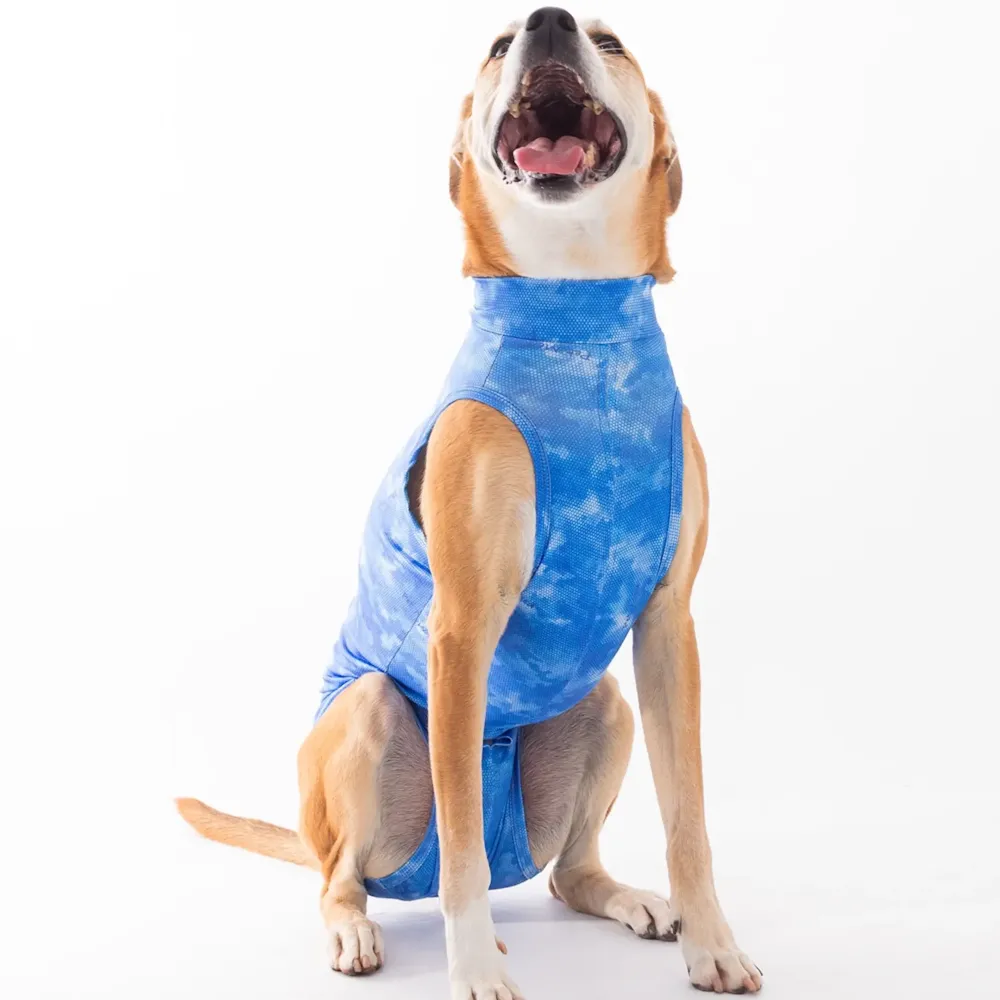 Roupa Pós-Cirúrgica Dry Light Supreme para Cães Machos Castração Pet Med Azul — foto 3
