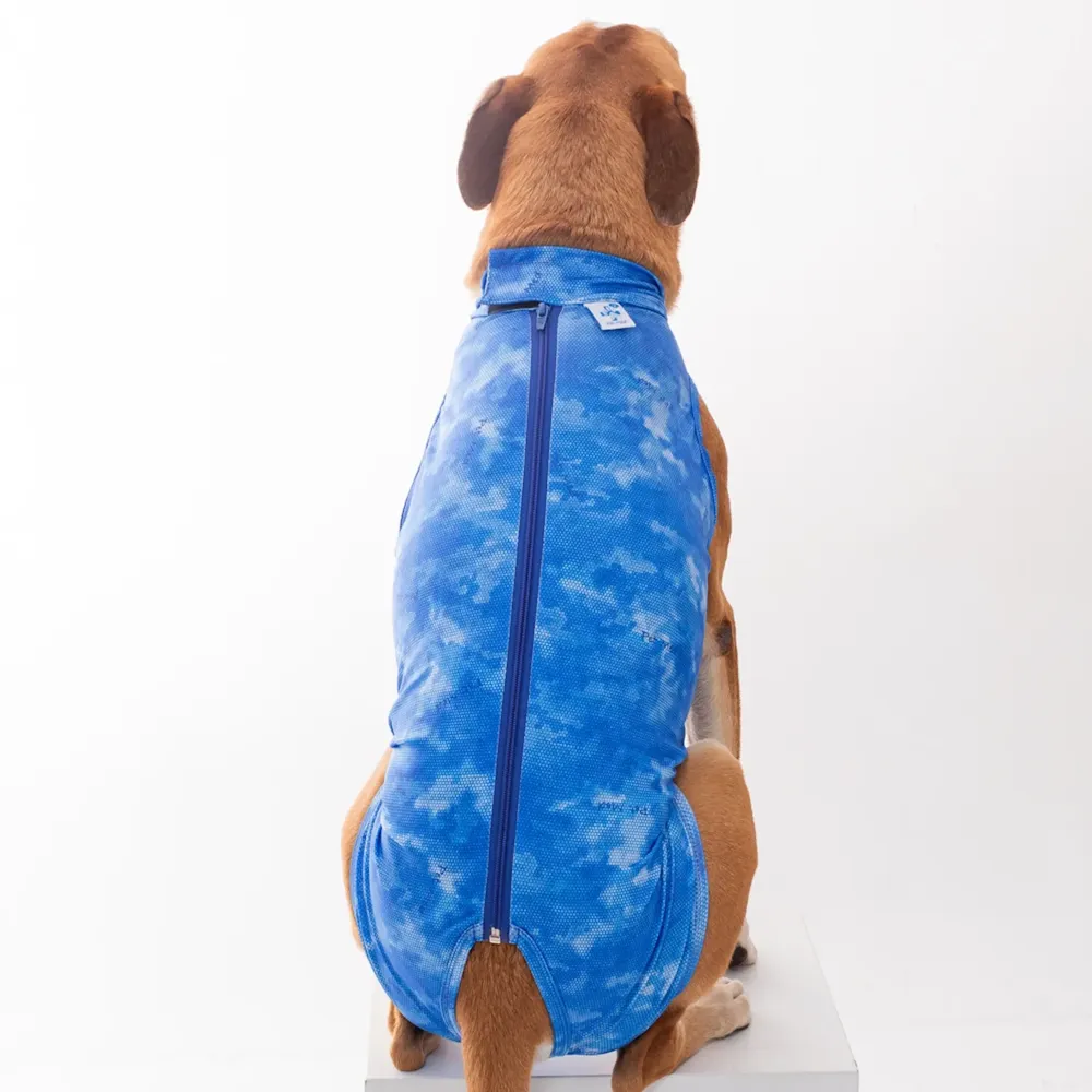 Roupa Pós-Cirúrgica Dry Light Supreme para Cães Machos Castração Pet Med Azul — foto 4