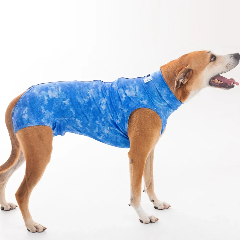 Roupa Pós-Cirúrgica Dry Light Supreme para Cães Machos Castração Pet Med Azul — foto 5