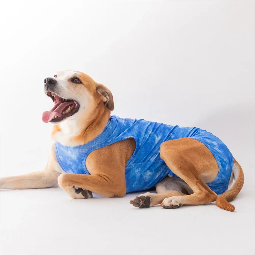 Roupa Pós-Cirúrgica Dry Light Supreme para Cães Machos Castração Pet Med Azul — foto 6
