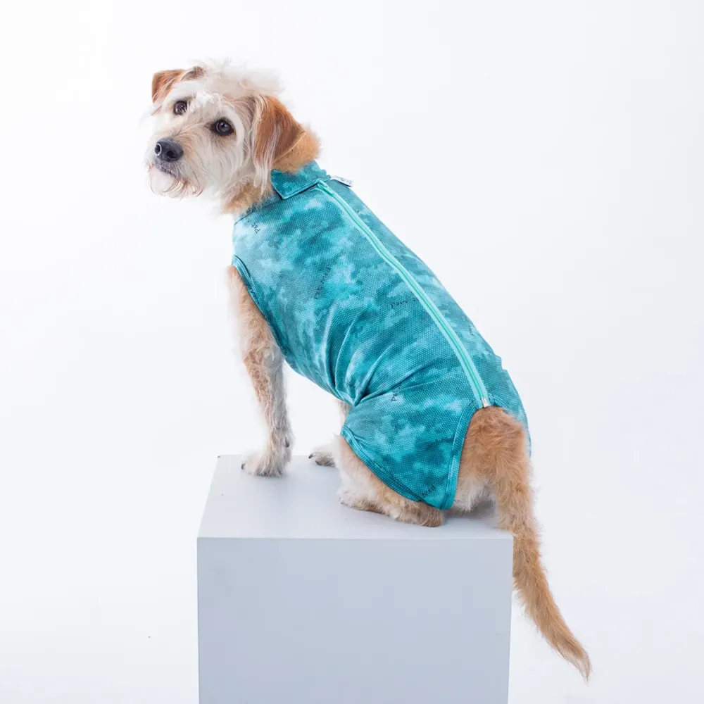 Roupa Pós-Cirúrgica Dry Light Supreme para Cães Machos e Fêmeas Pet Med Verde — foto 3