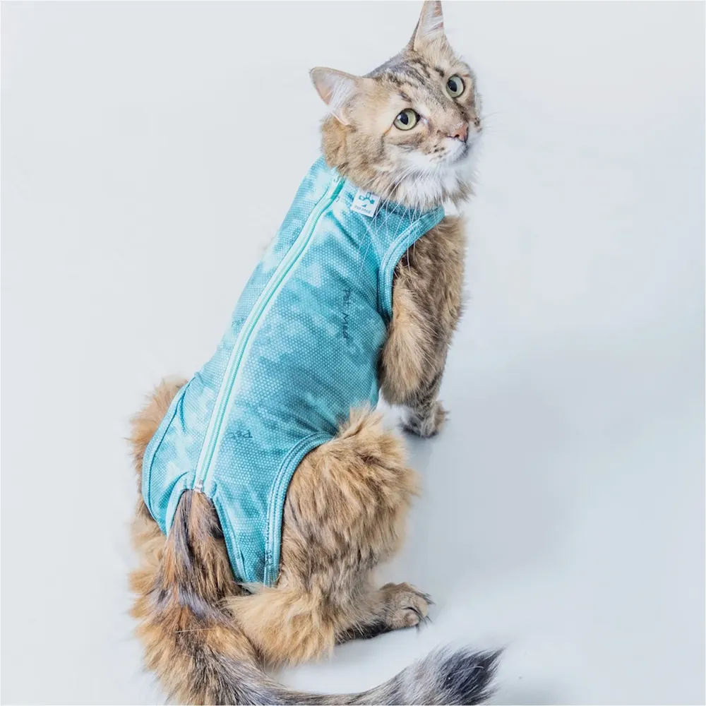 Roupa Pós-Cirúrgica Dry Light Supreme para Gatos Pet Med Verde — foto 2