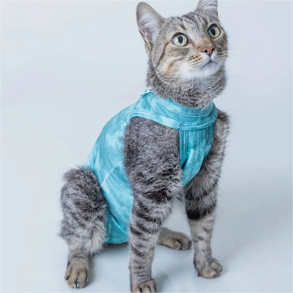 Roupa Pós-Cirúrgica Dry Light Supreme para Gatos Pet Med Verde — foto 3