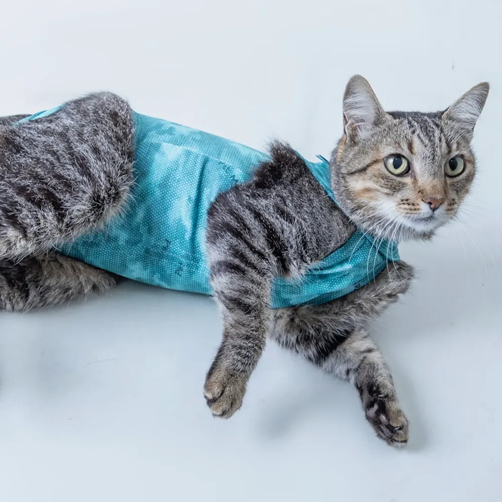 Roupa Pós-Cirúrgica Dry Light Supreme para Gatos Pet Med Verde — foto 5
