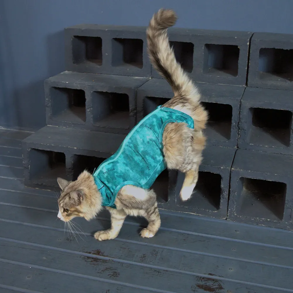 Roupa Pós-Cirúrgica Dry Light Supreme para Gatos Pet Med Verde — foto 6