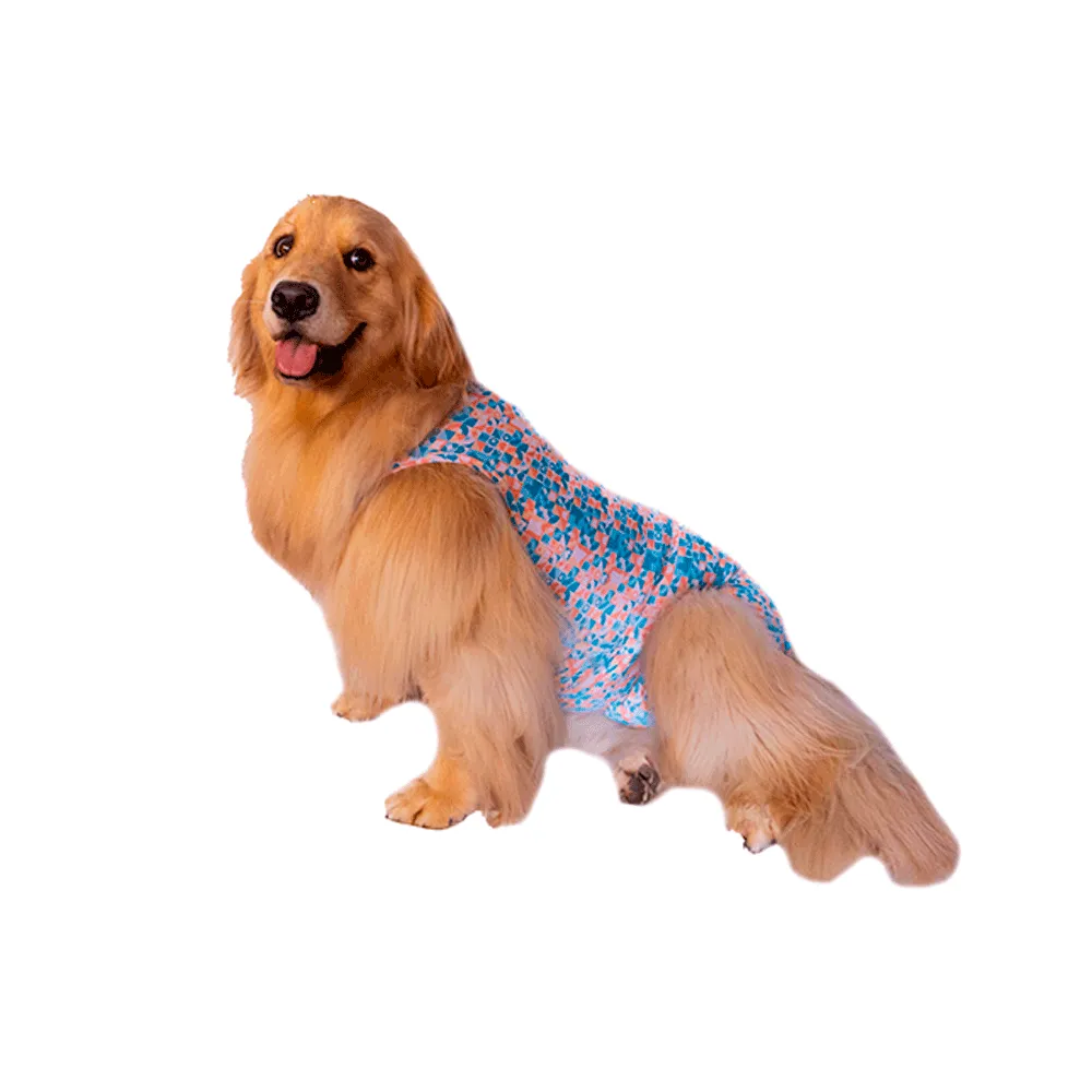 Roupa Pós-Cirúrgica Elastic Fêmea Zetta Pet — foto 3