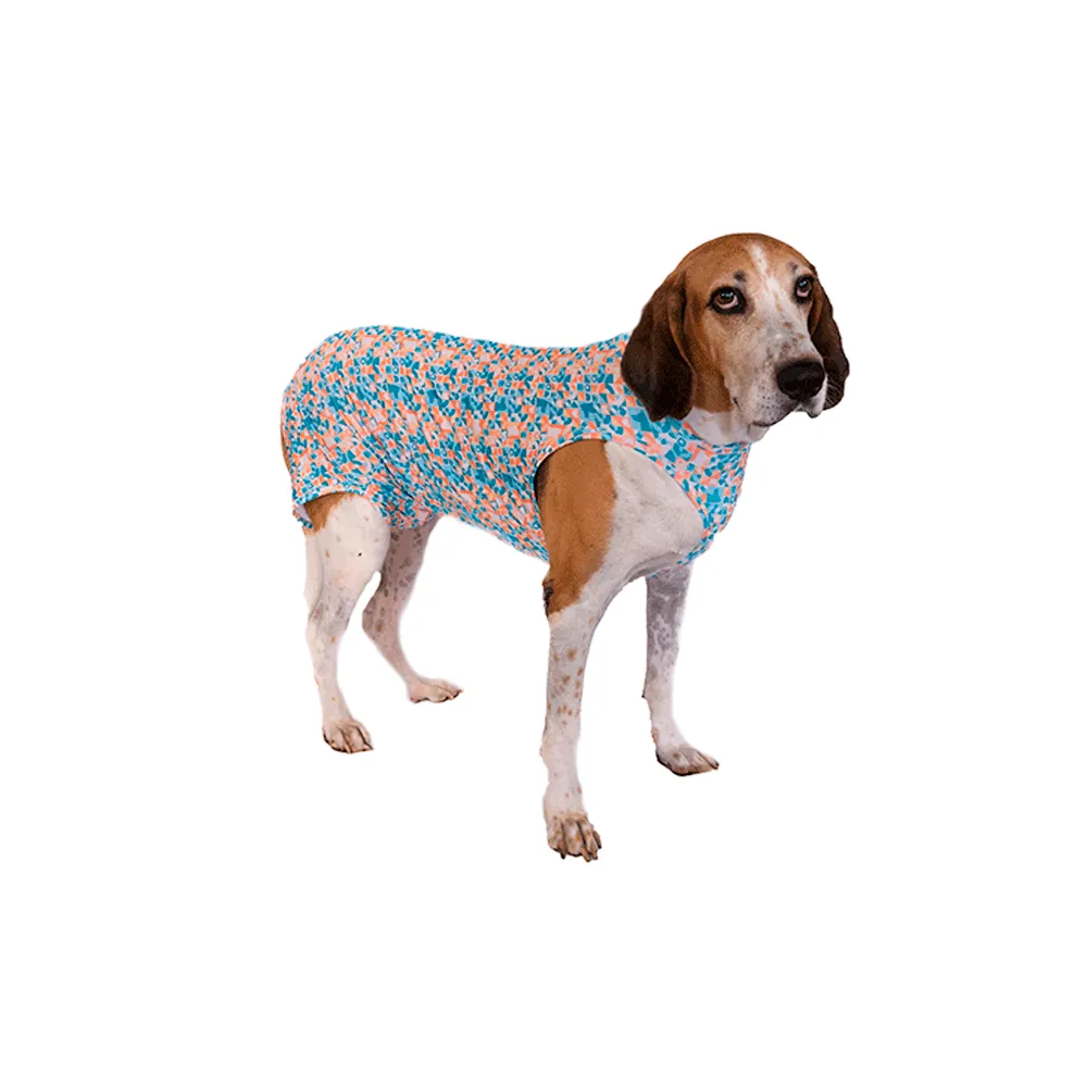 Roupa Pós-Cirúrgica Elastic Macho Zetta Pet