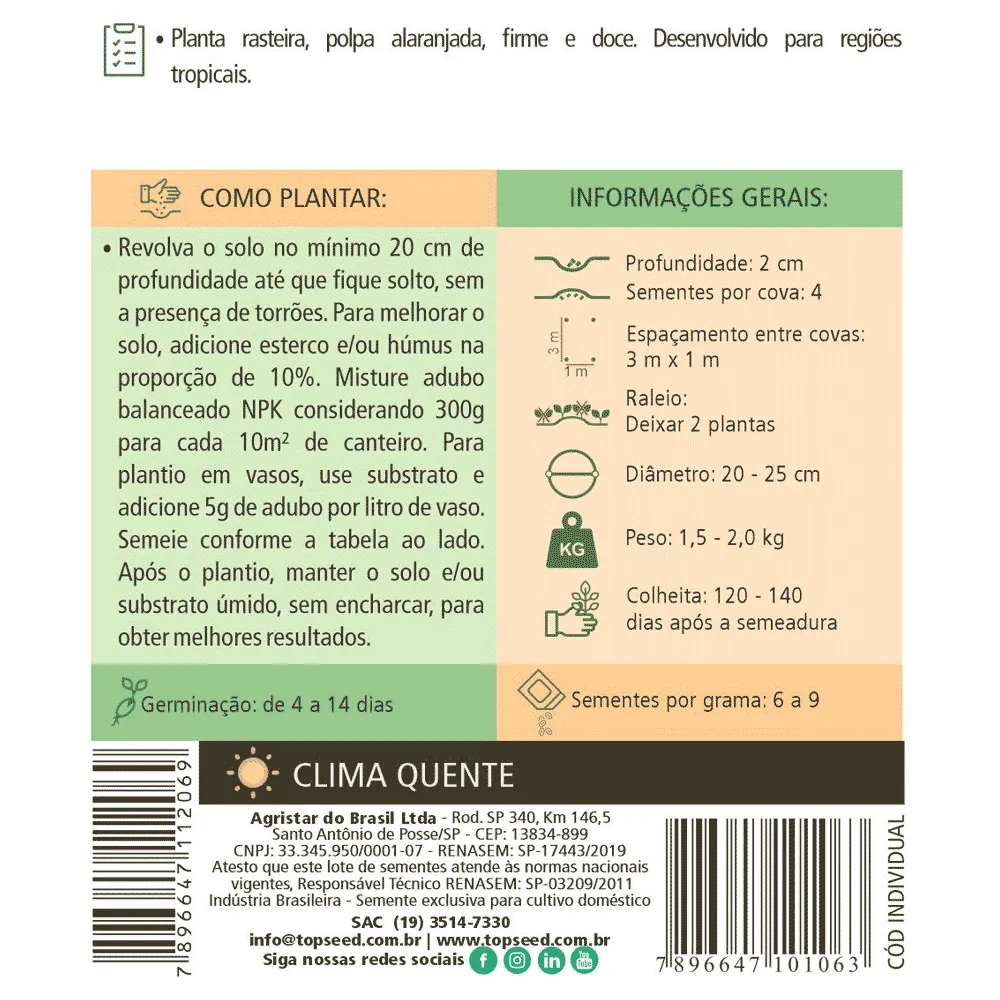 Sementes de Abóbora Bahiana Tropical Tradicional Topseed Garden — foto 2