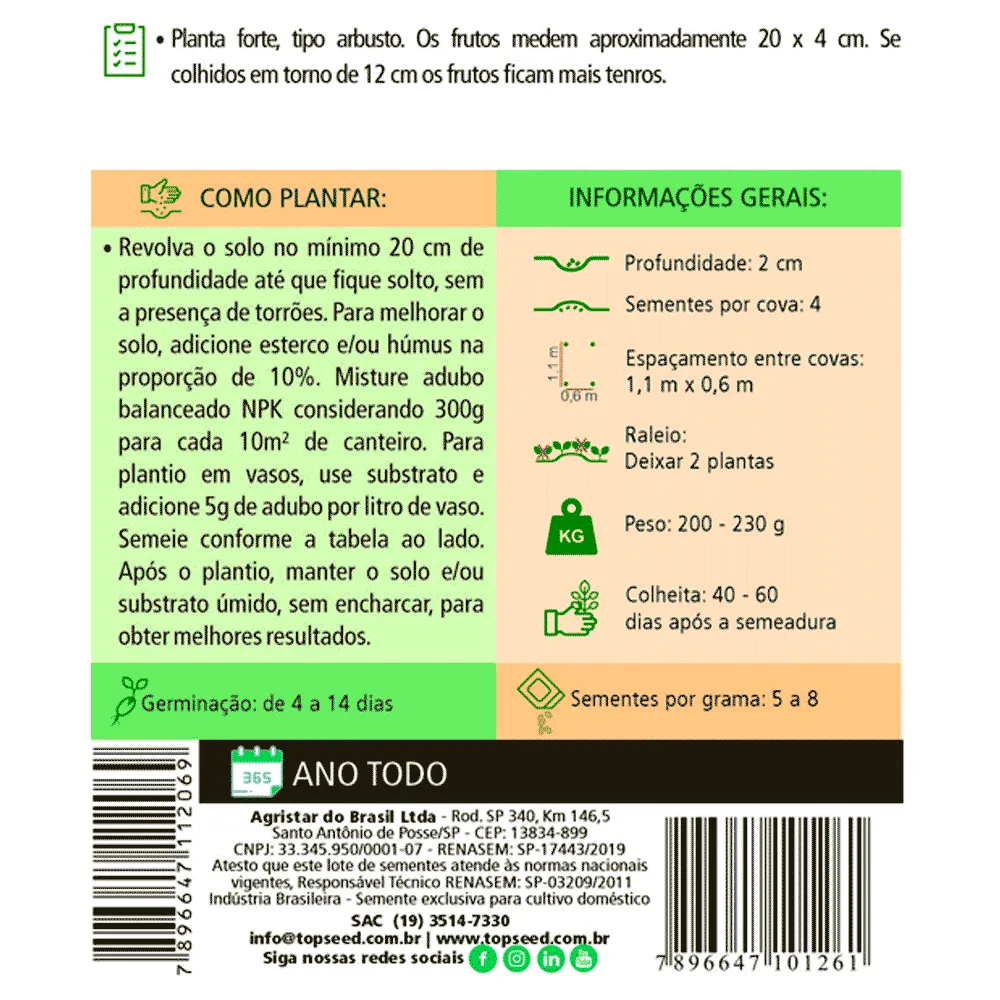 Sementes de Abobrinha Caserta Tradicional Topseed Garden — foto 2