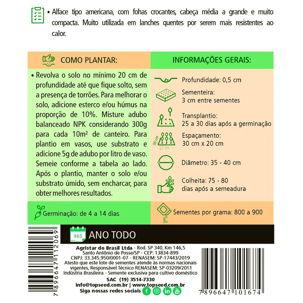 Sementes de Alface Americana Tradicional Topseed Garden — foto 2