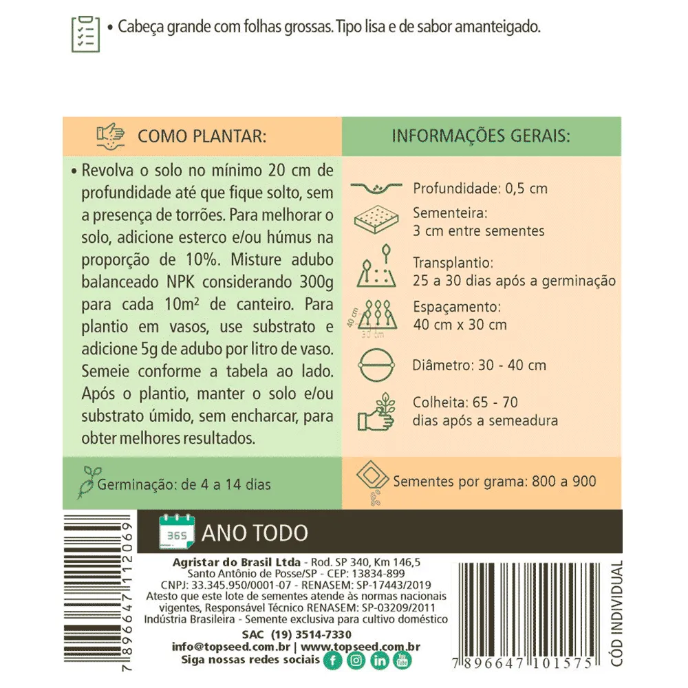 Sementes de Alface Aurélia Tradicional Topseed Garden — foto 2