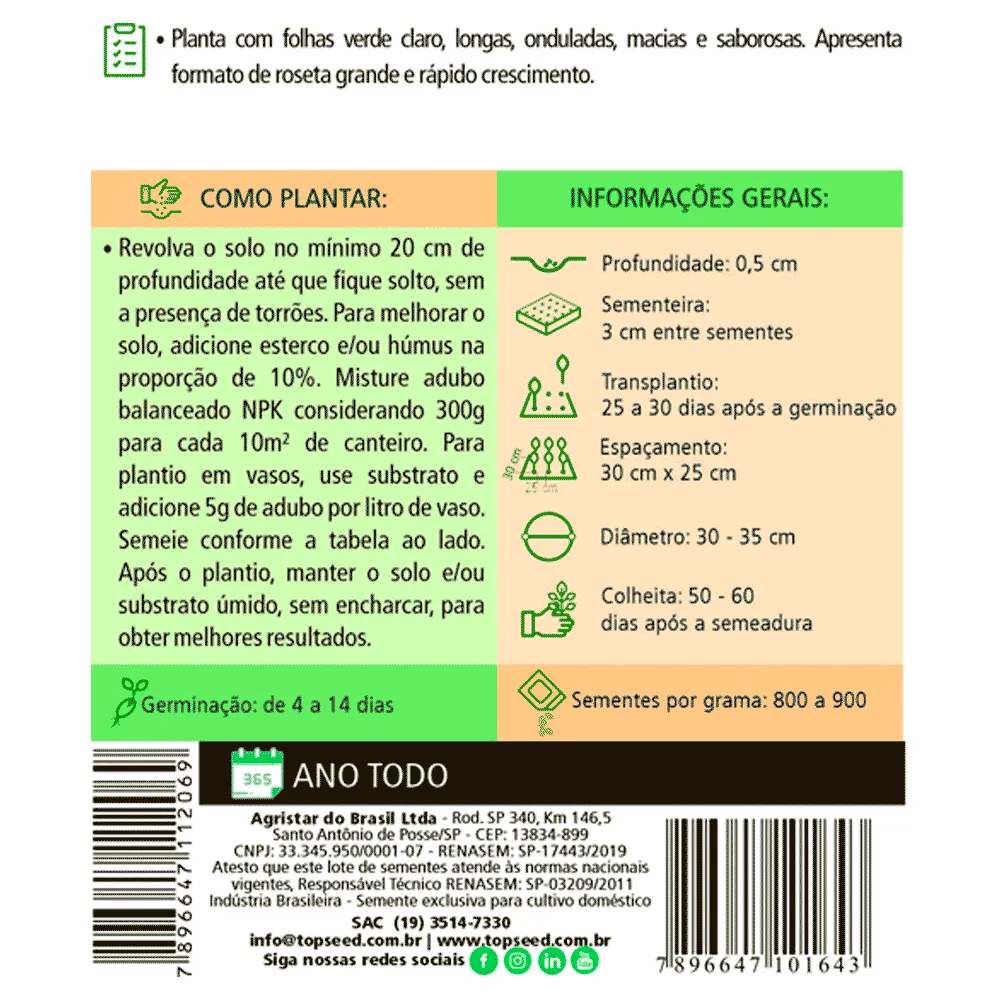 Sementes de Alface Mimosa Salad Bowl Tradicional Topseed Garden — foto 2