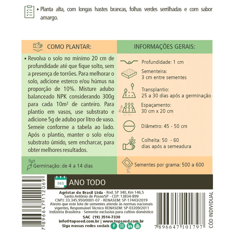 Sementes de Almeirão Catalonha Tradicional Topseed Garden — foto 2